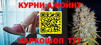 гашик Аргун