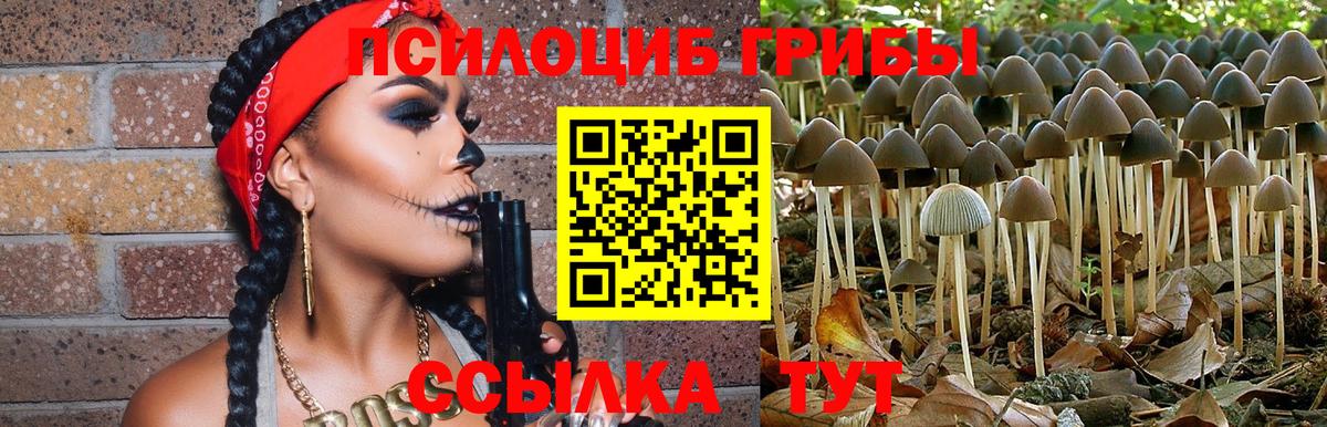 Галлюциногенные грибы мицелий  Вход с VPN  Санкт-Петербург 