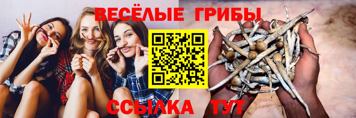 Галлюциногенные грибы ЛСД Санкт-Петербург