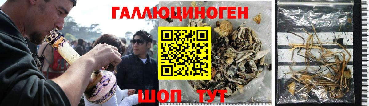 Галлюциногенные грибы ЛСД  Псилоцибиновые грибы прущие грибы  Санкт-Петербург 