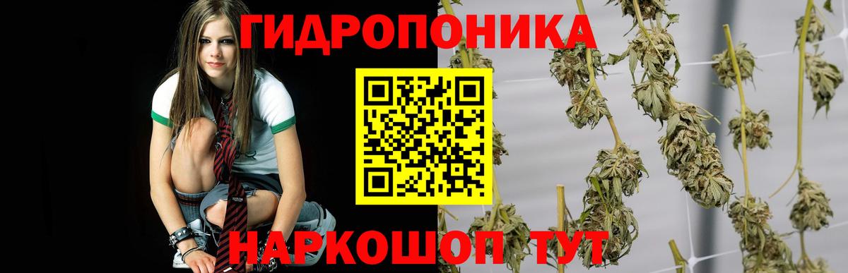 МАРИХУАНА AK-47 Санкт-Петербург